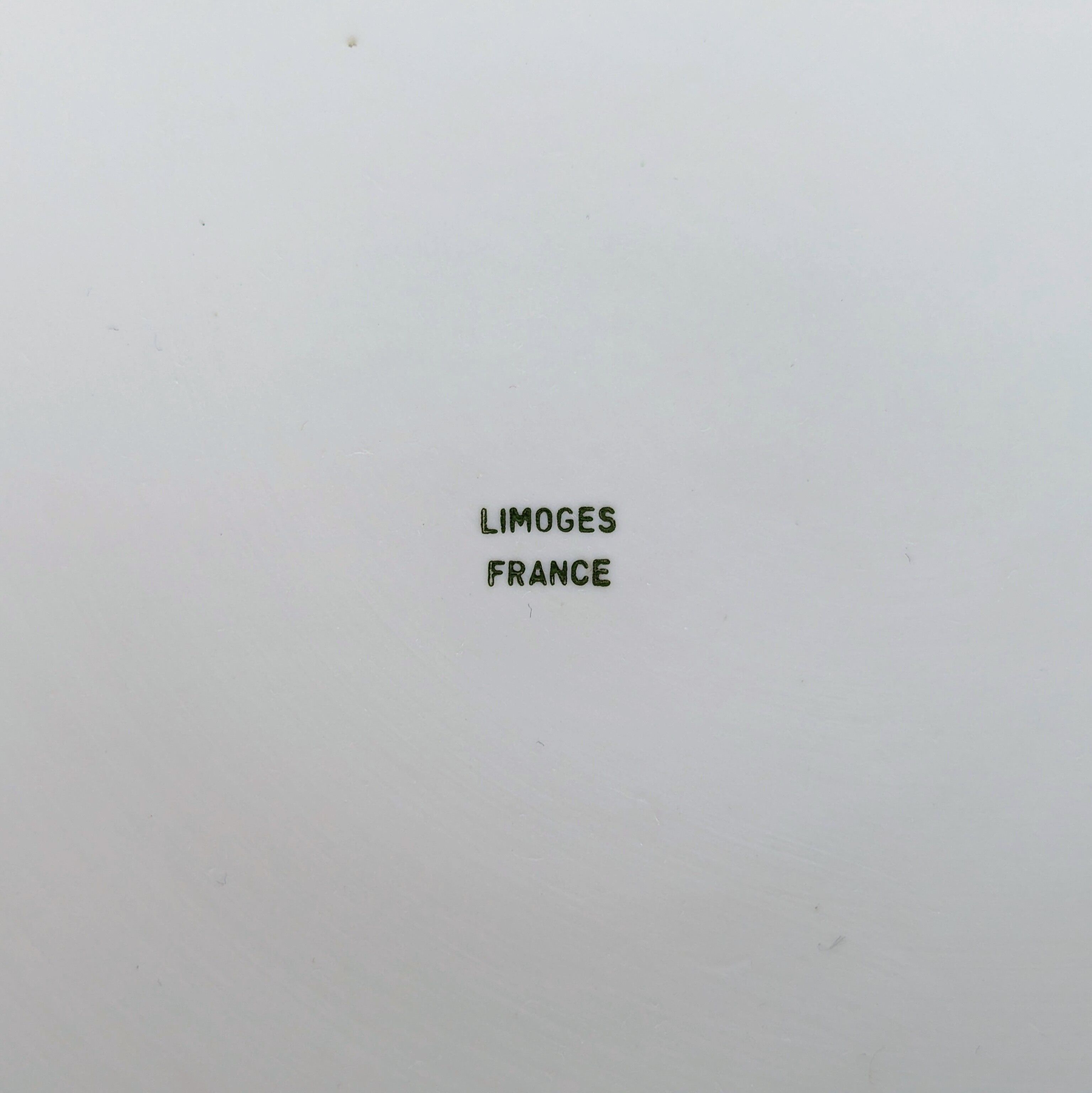 Limoges porcelain vase