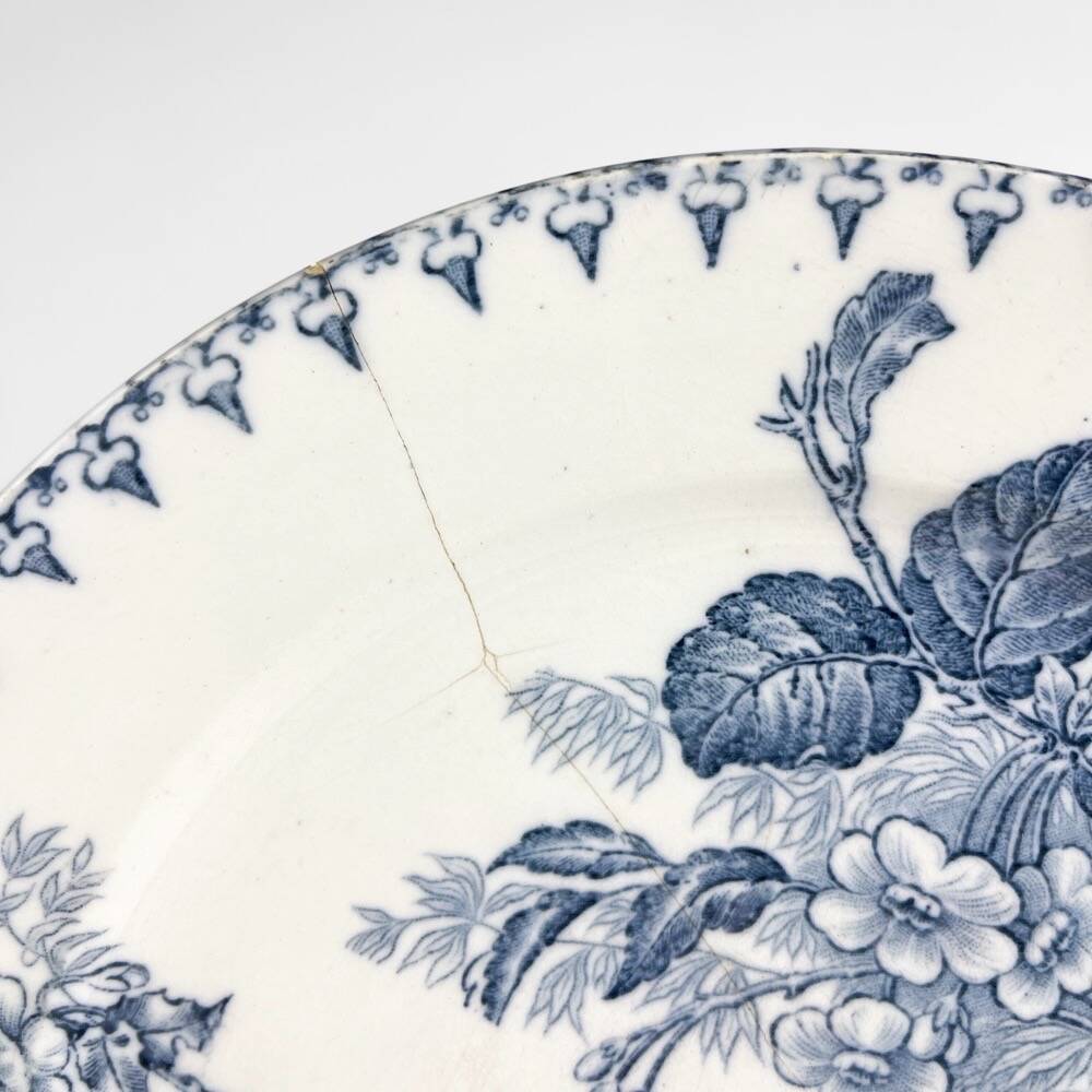 5 mismatched plates Terre de fer 1900