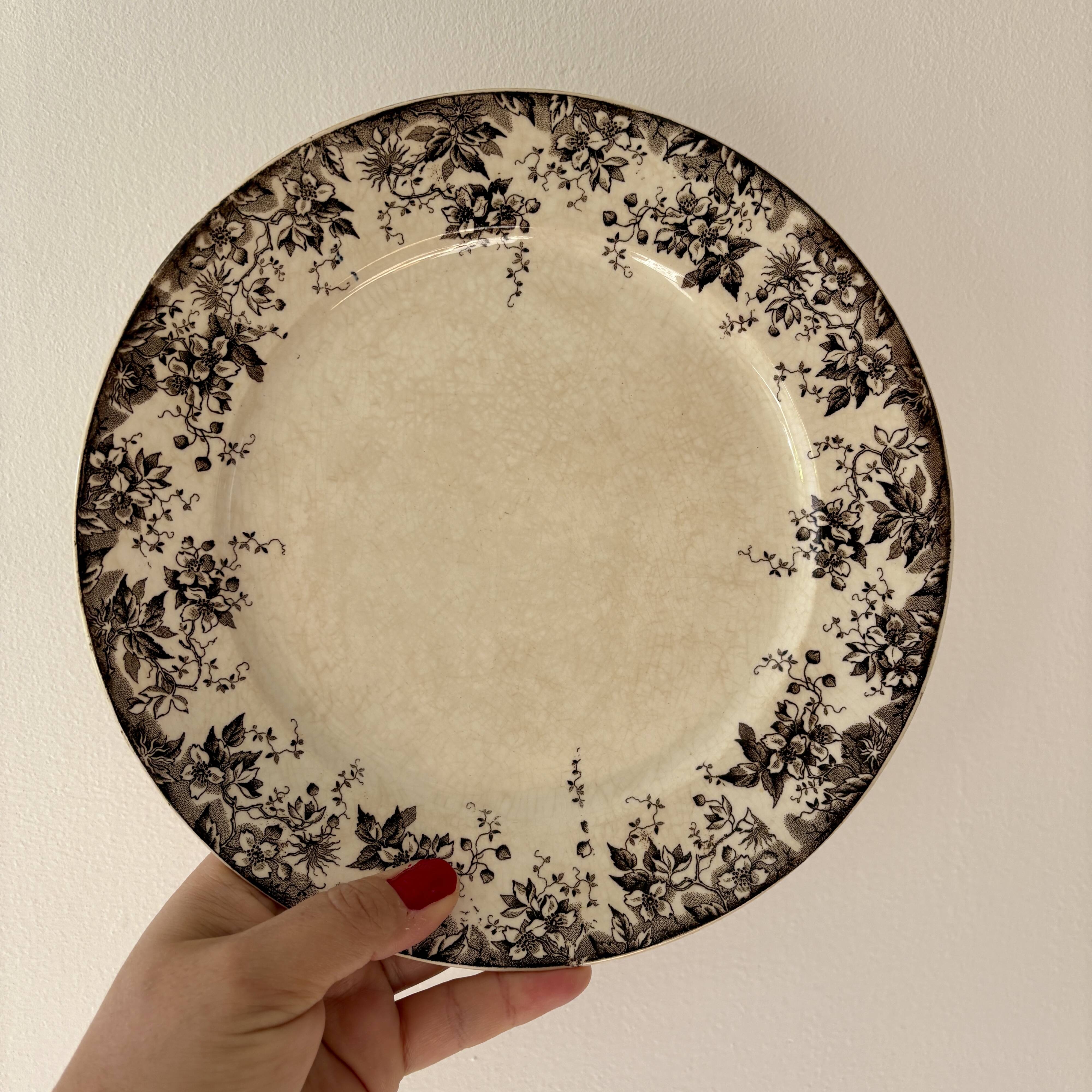 Set of 6 antique ironstone dinner plates, Alphand pattern