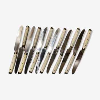 Lot 12 Pradel knives