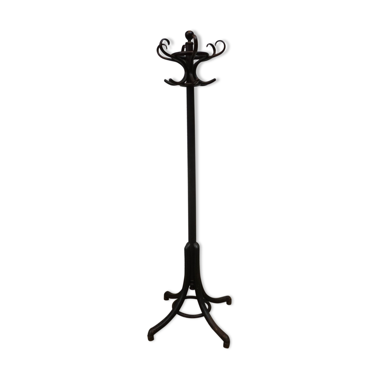 Old curved wood parrot coat holder