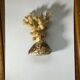 Ancient sculpture coral shell and hyppocampe souvenir vintage pacific