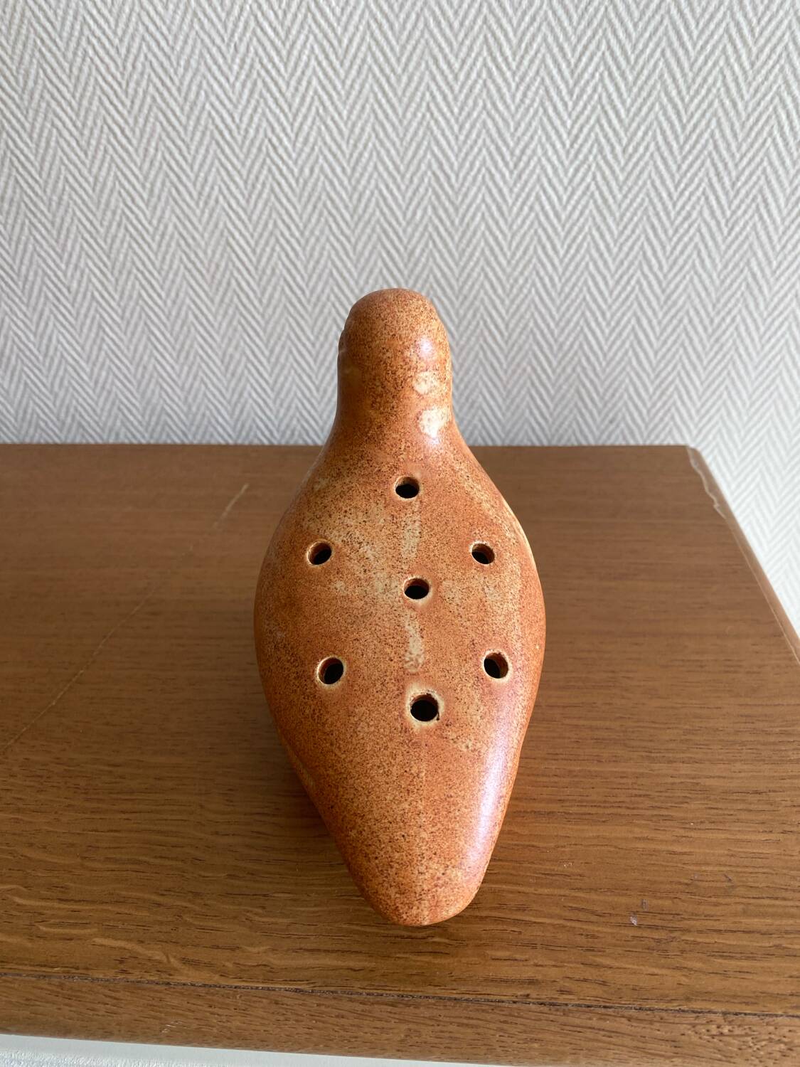 Flower picker bird the Dieulefit caves