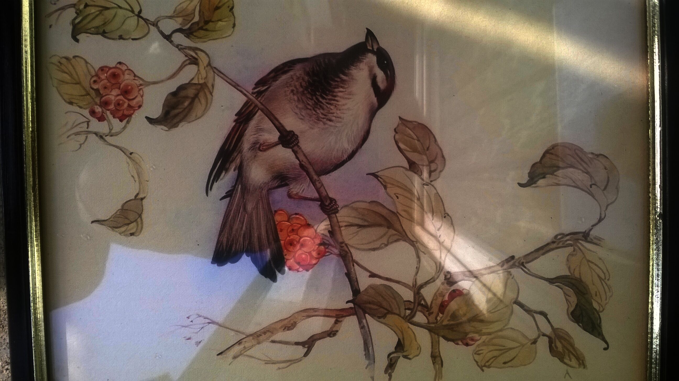 Paire de gravures "aux oiseaux"