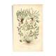 Engraving from 1889 - Hair by A. Pratt - old botanical chromolithograph