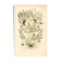 Engraving from 1889 - Hair by A. Pratt - old botanical chromolithograph