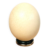 Ostrich egg on base