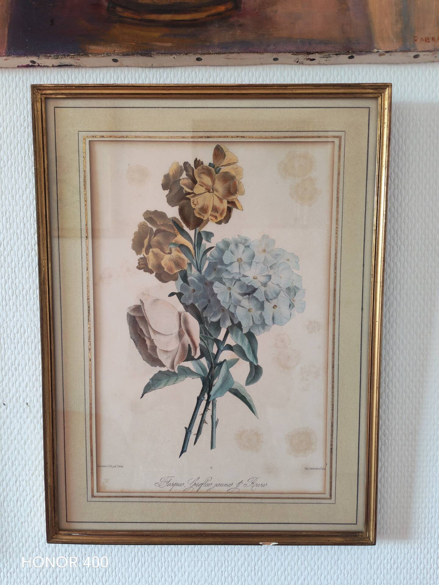 Gravure botanique XIX siècle bouquet de fleurs encadrement parisien
