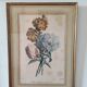 Gravure botanique XIX siècle bouquet de fleurs encadrement parisien