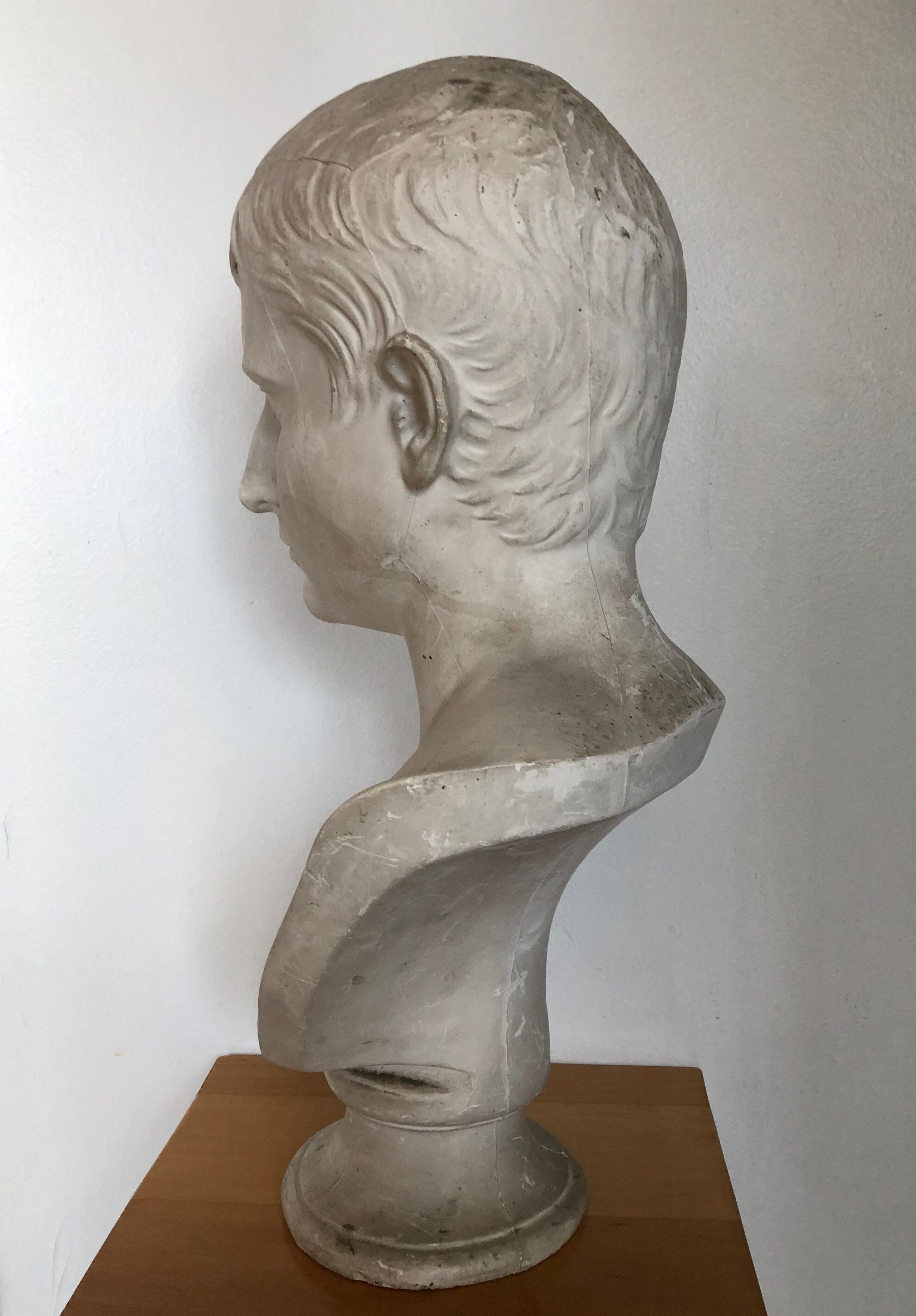 Bust of Bonaparte in plaster