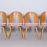 Chairs by Antonín Šuman 1950
