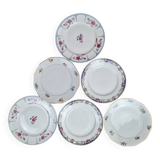 Composition of 6 dessert plates