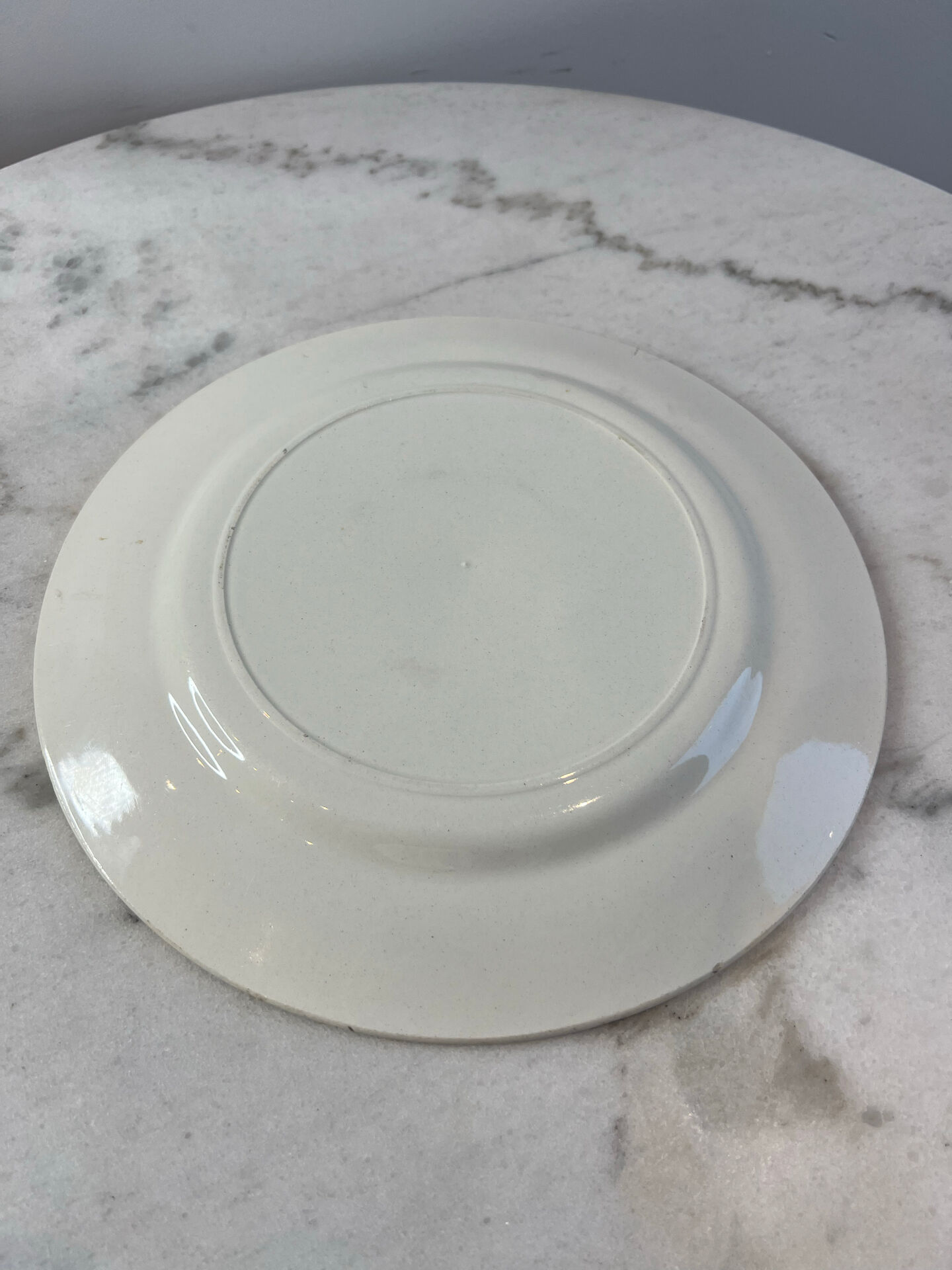 Assiette plate Salins décor bleues 24,5cm