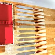 Set of 12 radium table knives in horn