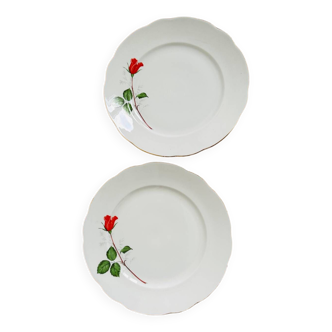 Set of two dinner plates • pink pattern and gold edging • white • imported CISLAGO porcelain factory