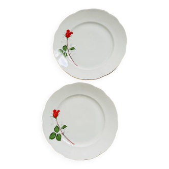 Lot de deux assiettes plates • motif rose et liserés dorés • blanches • usine de porcelaine CISLAGO importé