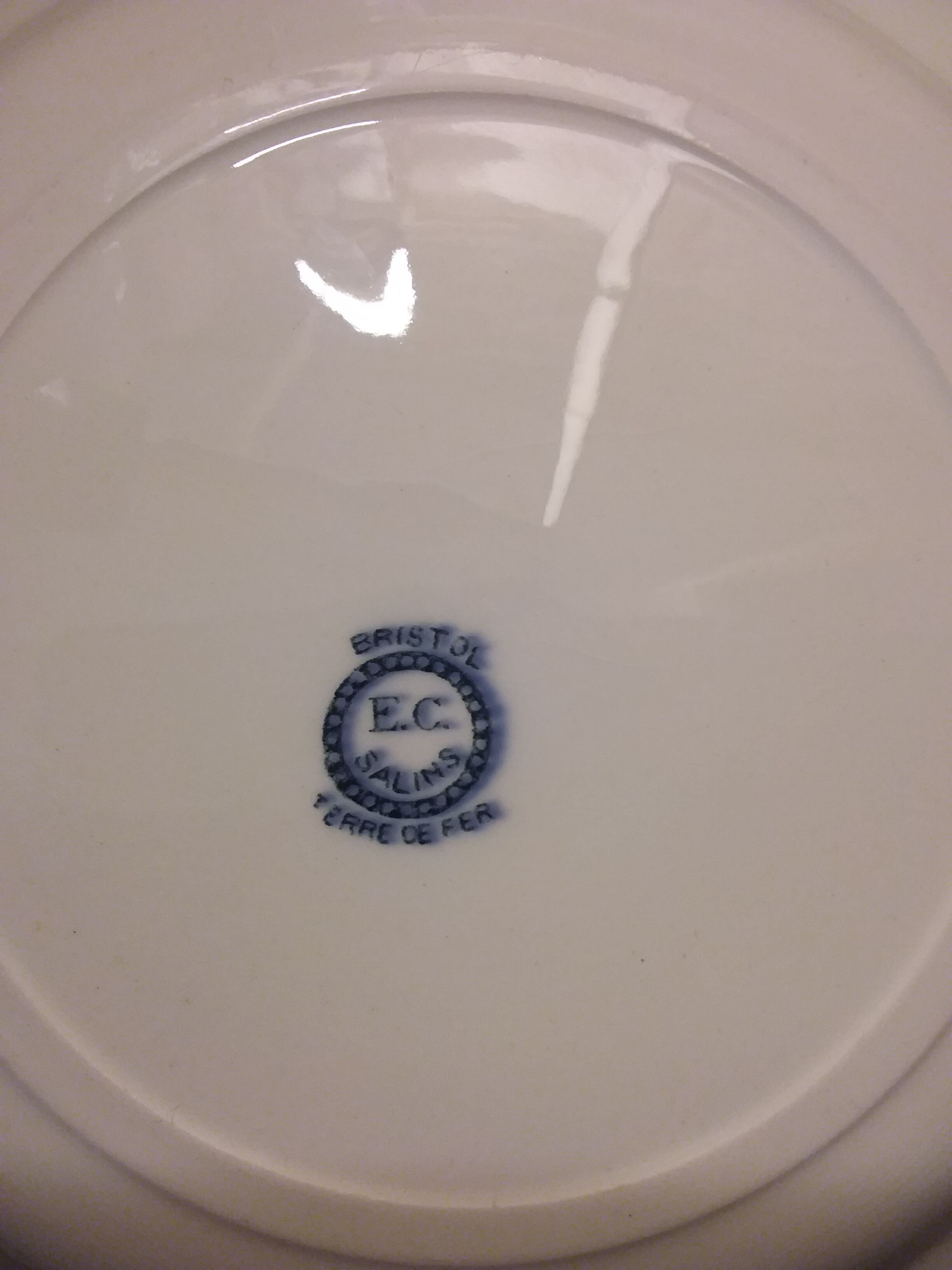 6 plates Salins model Bristol Tierra del Fuego