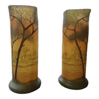 Pair of vase