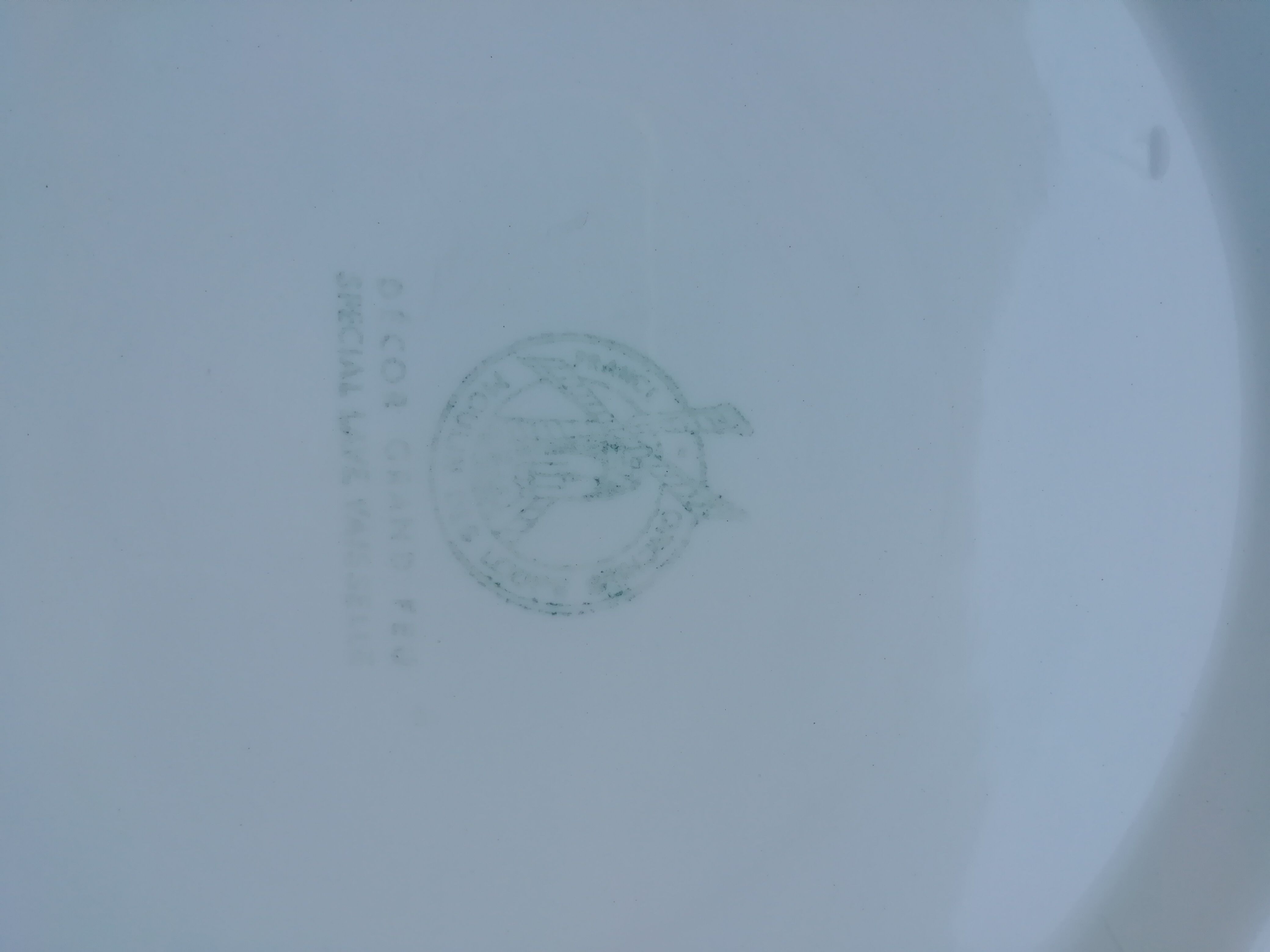 Vegetable soup decorated apple