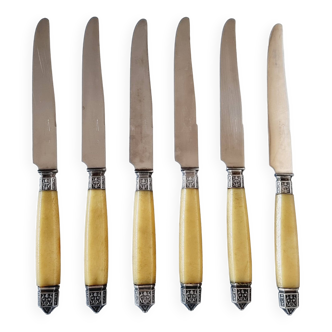 Box of 6 Appetizer Knives in Resin and Metal Vitolas Art Nouveau Style 19th Century