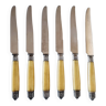 Box of 6 Appetizer Knives in Resin and Metal Vitolas Art Nouveau Style 19th Century