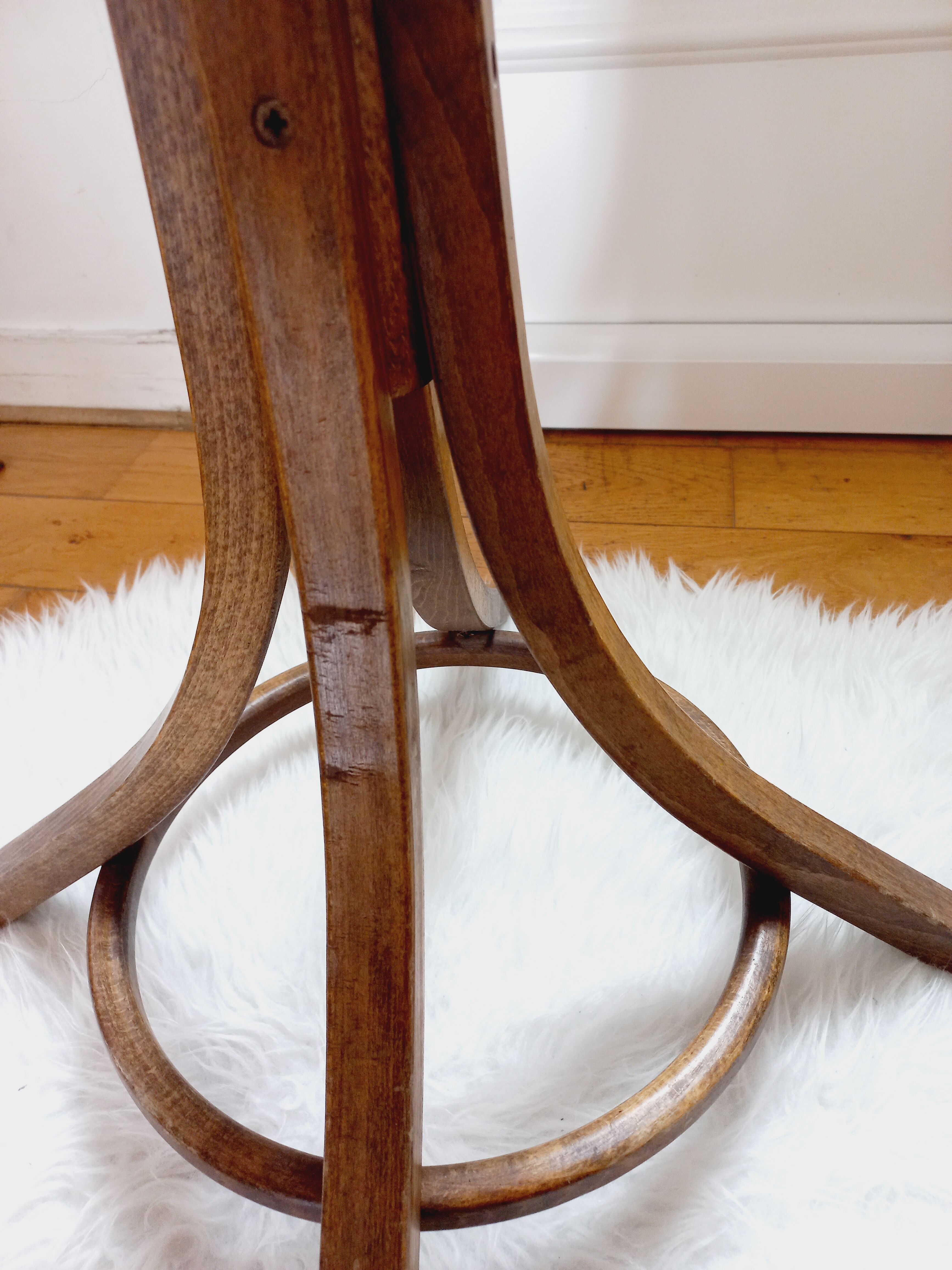 Vintage parrot coat rack