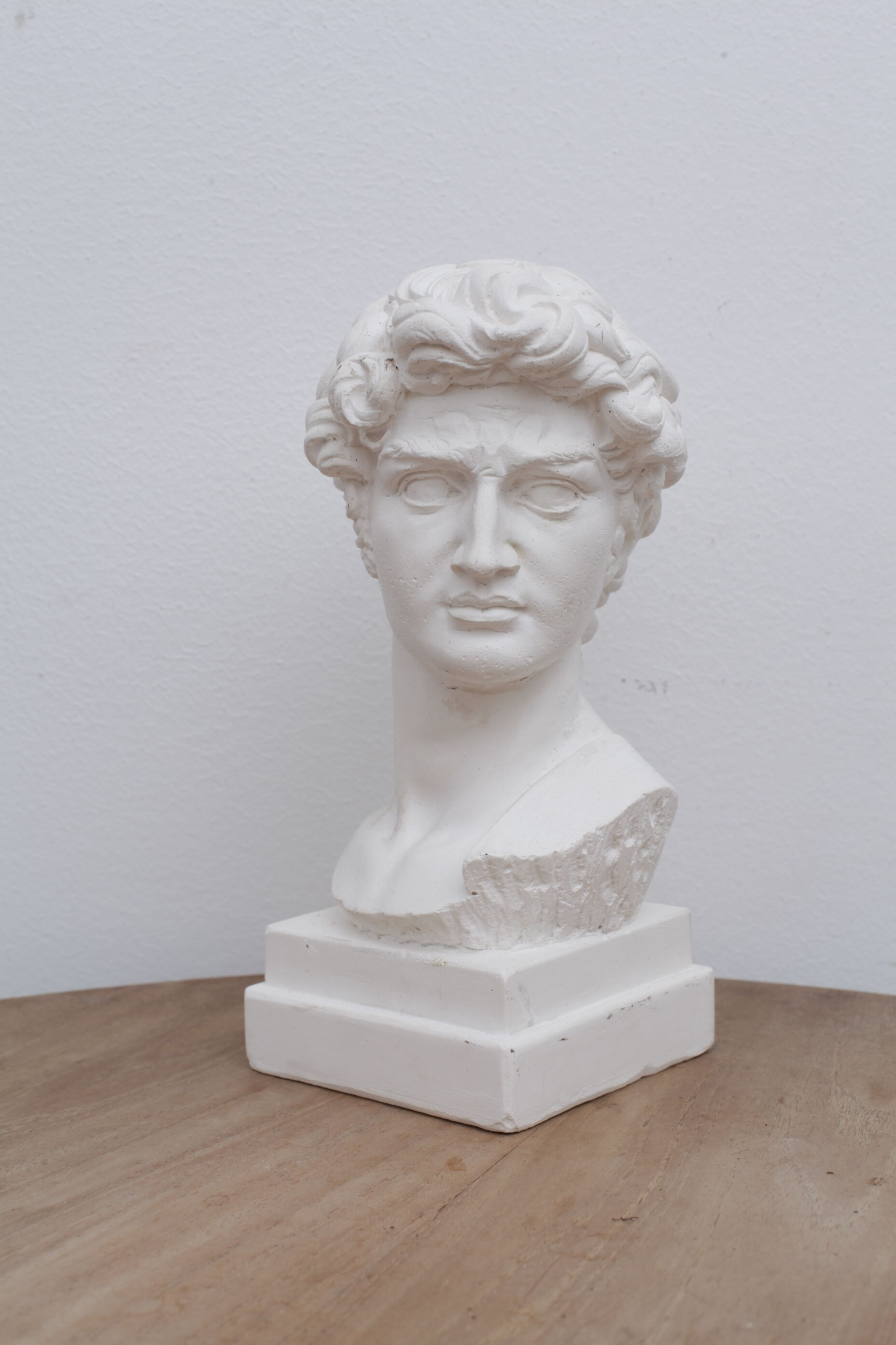 David head in waxed white plaster