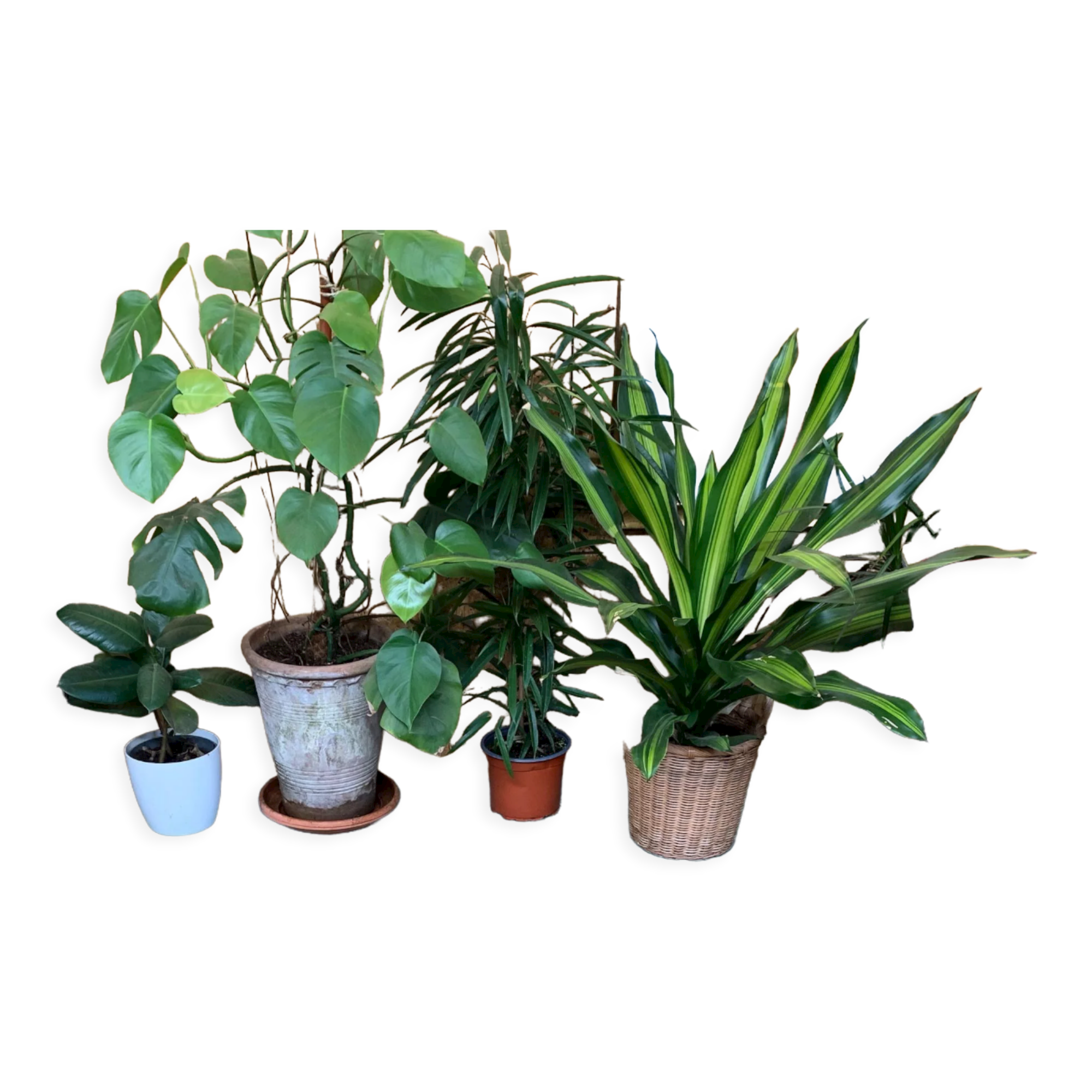 Vintage turkish rug 173x122 cm shabby carpet central anatolian medium