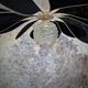 12-blade aerial suspension in rattan and black linen with vintage globe