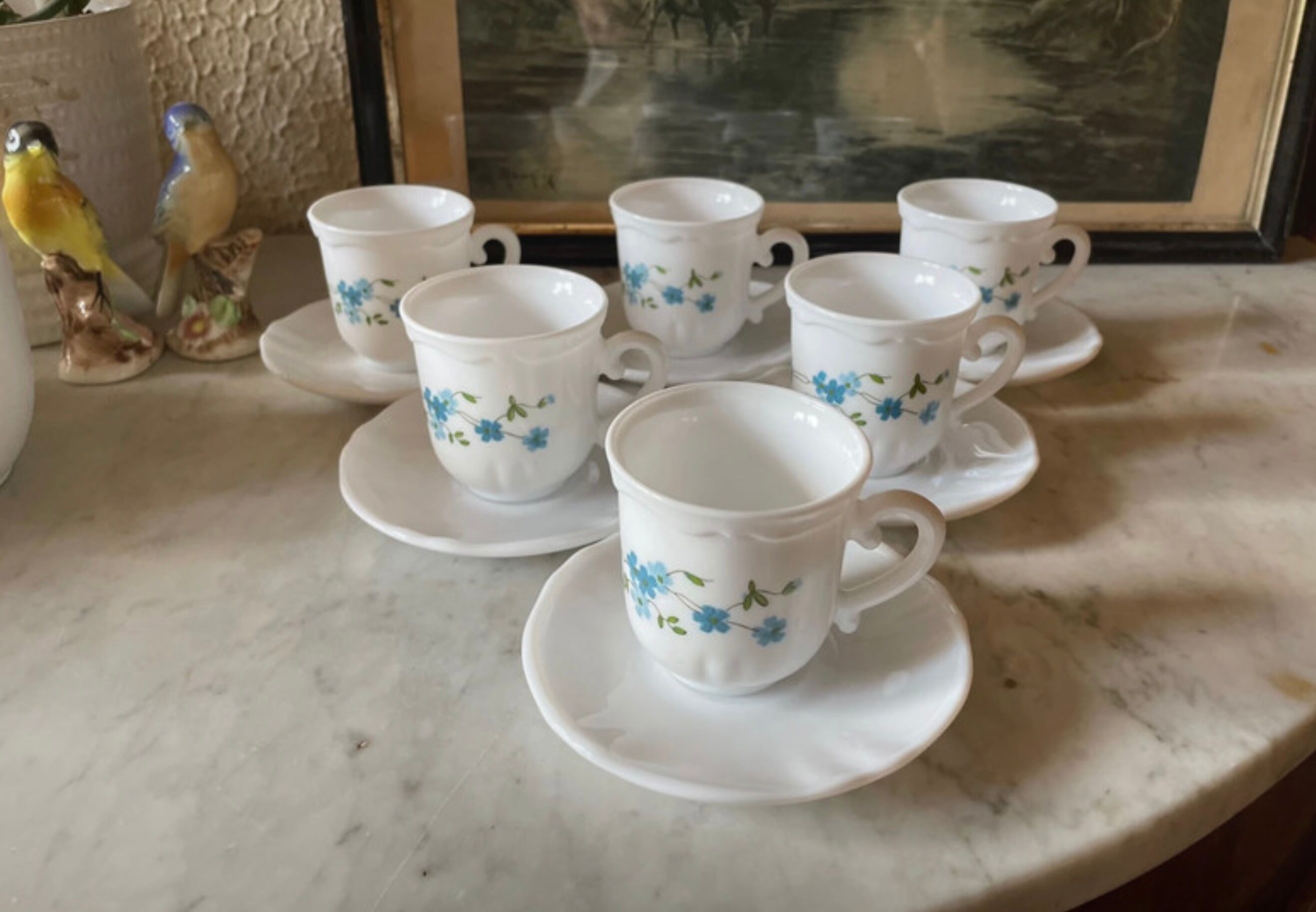 Coffee service Forget-me-not Arcopal