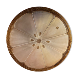 Water lily tray
