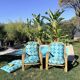 Paire de fauteuils en rotin "Audoux-Minnet" 1960