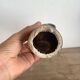 Hand ring holder or soliflore