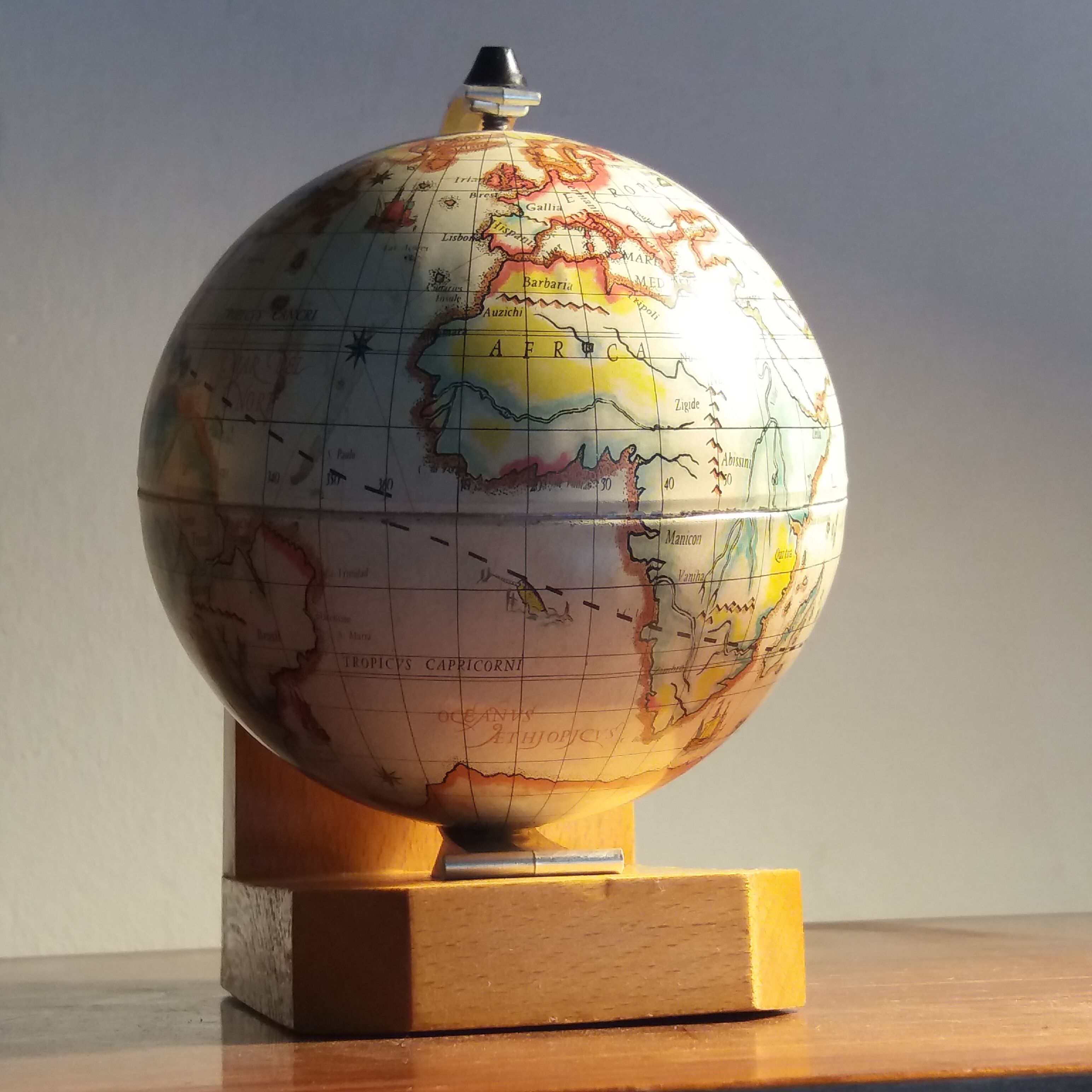 World map greenhouse books