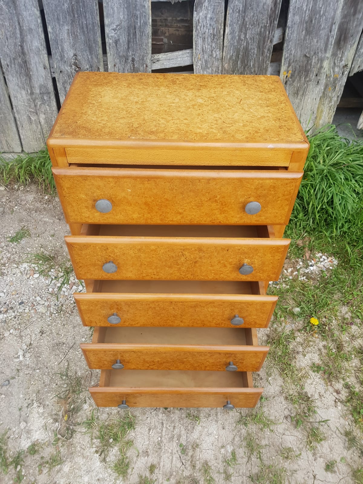 Ancient Commodity 5 Wood Drawers - Vintage 70s Alu Handles