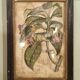 Gravure florale fin 18ème