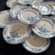 13 Longwy Azaleas dinner plates