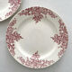 2 flat plates made of ironstone "Louis XV" Choisy le Roi