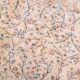 7x11 nuances de tan beige tapis persan, 220x335cm