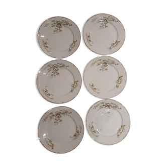 Assiettes en porcelaine