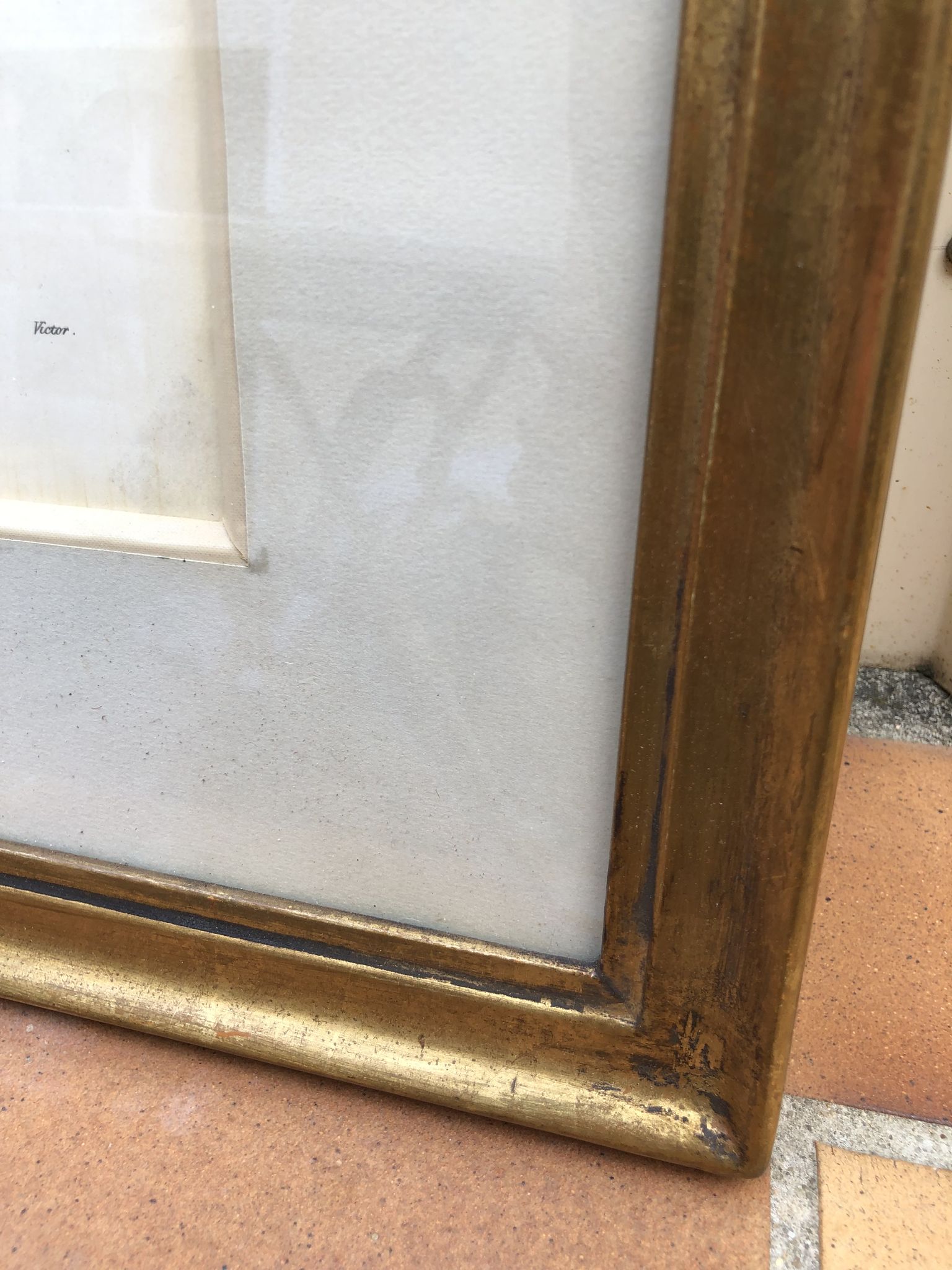 Former botanical board gilded frame PJ Redouté "Bouquet of Thoughts" Printing Victor 19th