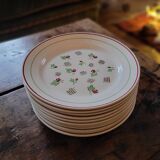 11 dinner plates decorated with stylized roses. 1950s. 11 dinner plates