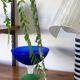 Fruit dish, fruit bowl, standing bowl, Gunnel Sahlin x Kosta Boda, Sweden
