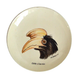 Indochina hornbill plate