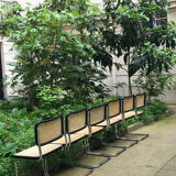 Chaises cesca B32 de Marcel Breuer