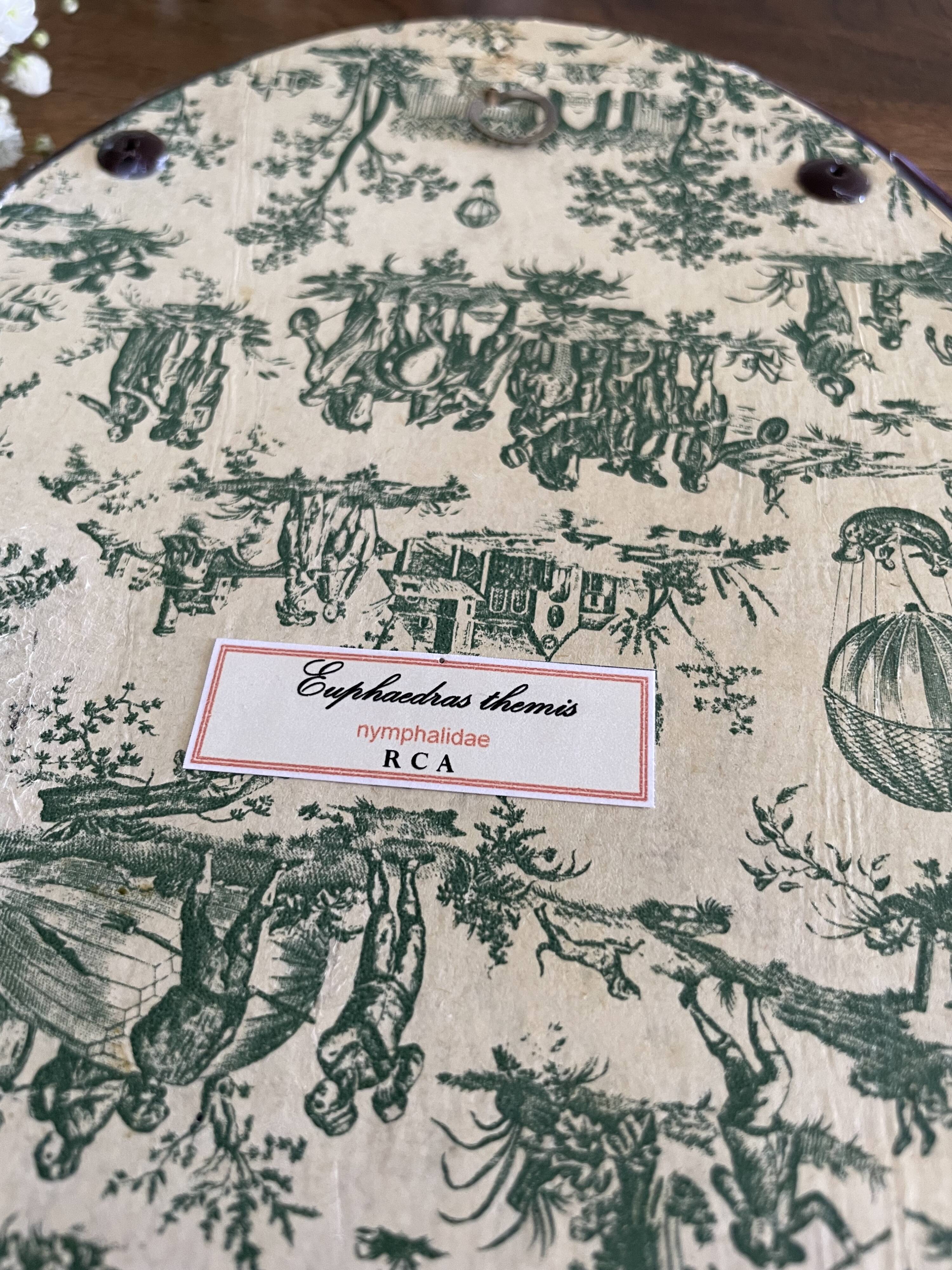 Butterfly frame naturalized curved glass