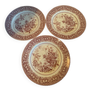 Set of 3 Staffordshire ironstone dinner plates