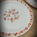 Set 6 flat plates Red and orange flowers