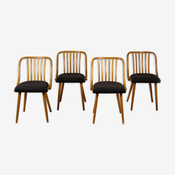 Chaises par Antonin Suman des années 1960