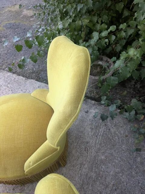 Pair of toad armchairs